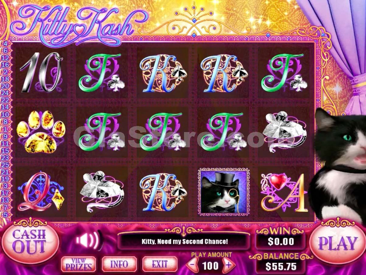 Kitty Kash